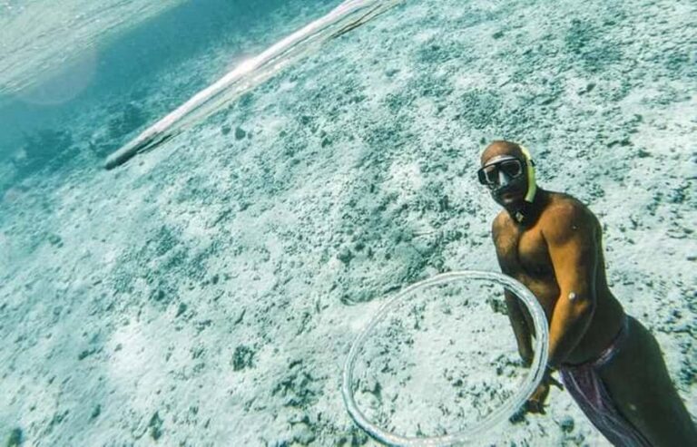 Bora Bora: Lagoon Snorkeling Half-Day Private Boat Tour - An Introduction to the Bora Bora Snorkeling Tour