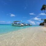 Bora Bora: Morning 2 tank dive for certified divers - The Dive Sites and Marine Encounters