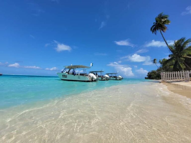 Bora Bora: Morning 2 tank dive for certified divers - The Dive Sites and Marine Encounters