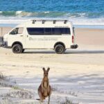 Bribie Island: 4WD, Kayak, and WWII Bunker Tour - The Practical Details