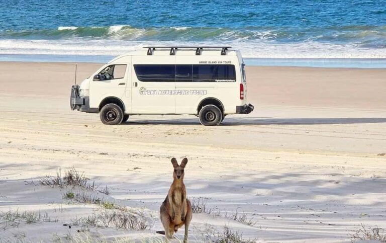 Bribie Island: 4WD, Kayak, and WWII Bunker Tour - The Practical Details