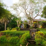 Brief Garden: The Artistic Legacy of Bevis Bawa - Who Should Consider This Tour?