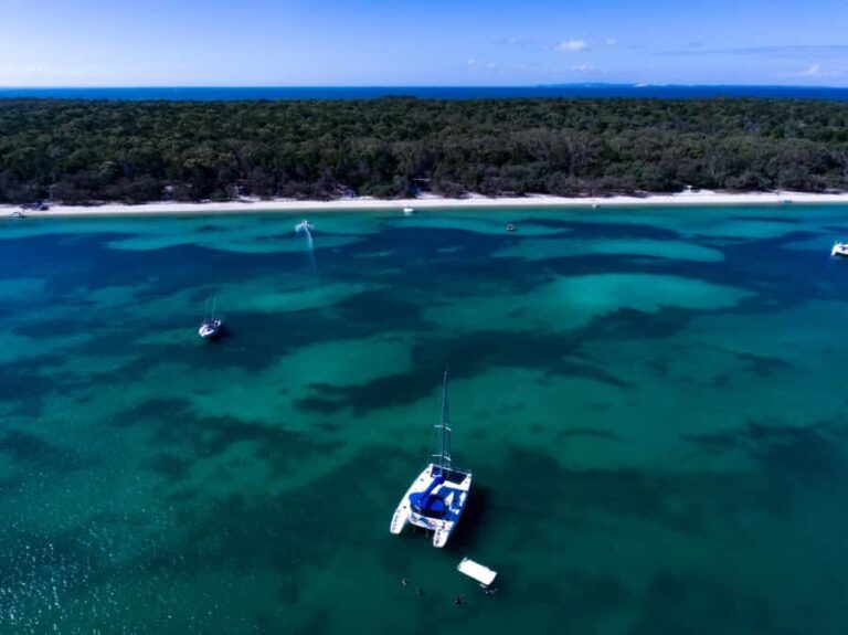 Brisbane: Half-Day Moreton Bay Sailing Cruise with Antipasto - The Experience: Who Will Love It?