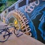 Brisbane: International Street Art Walking Tour - What Makes This Tour Stand Out?