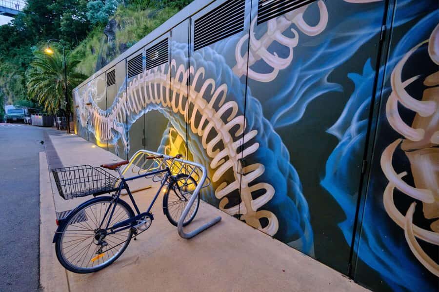 Brisbane: International Street Art Walking Tour - What Makes This Tour Stand Out?