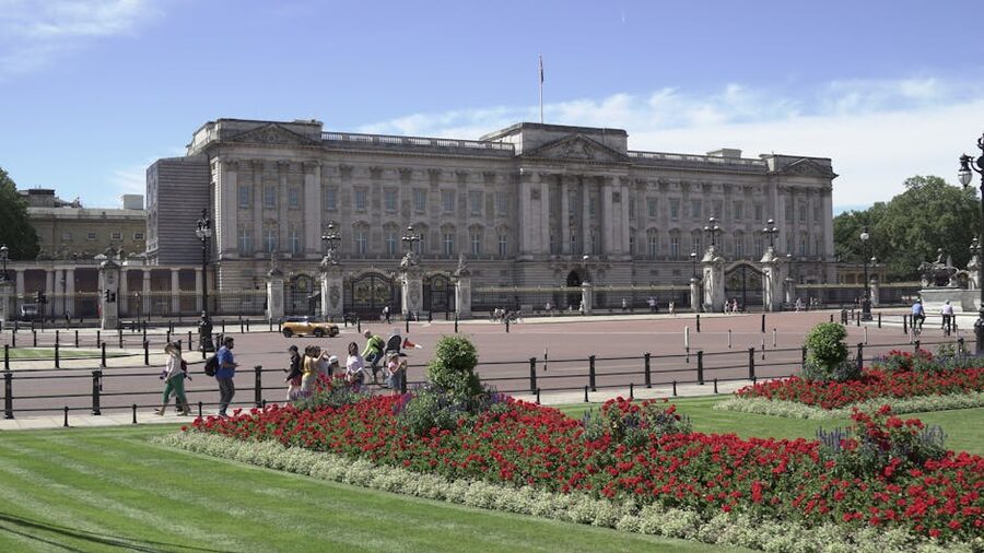 Buckingham Palace gardens lush green view