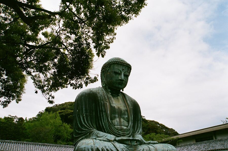 Great Buddha in Kamakura Japan in its peaceful outdoor setting with trees