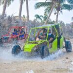 Buggy Ride and Taino Cave Guided Tour in Punta Cana - What Travelers Say