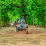 Buggy Tour in Punta Cana: Adventure and Culture - Practical Tips for Booking and Enjoying