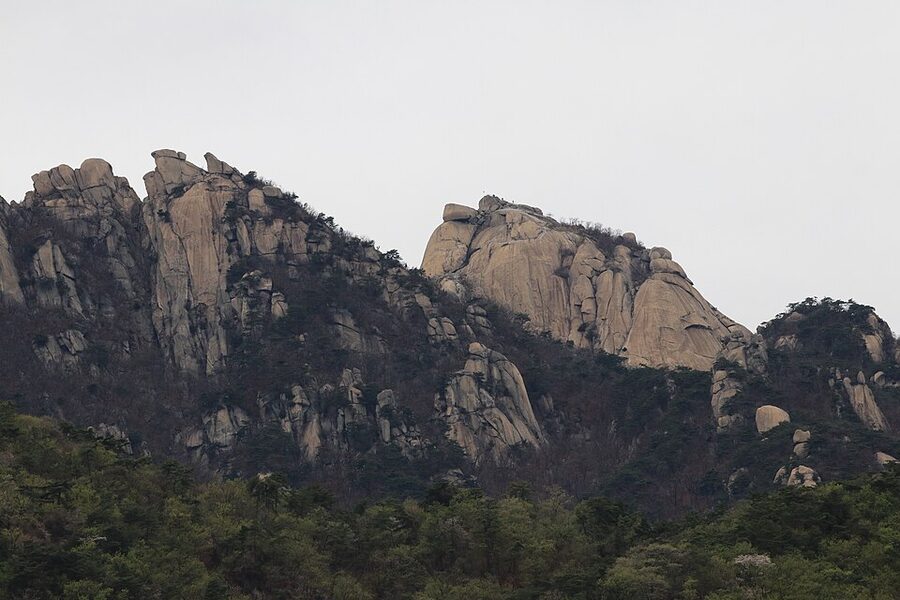 Baegundae terrace with pink azaleas in spring