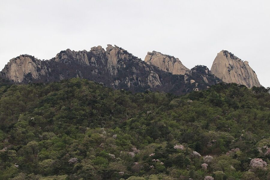 Bukhansan National Park granite peaks with spring greenery