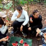 Bukit Lawang: Eco-Friendly Jungle Trek with Orangutans - Good To Know