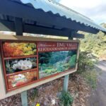 Burnie Attractions Bus - The Itinerary in Detail: What to Expect