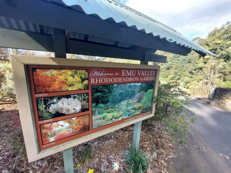 Burnie Attractions Bus - The Itinerary in Detail: What to Expect