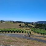 Burnie Shore Excursion: Tasting Trail Tour - Exploring the Itinerary: What You Can Expect