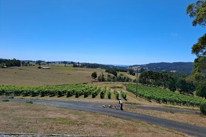Burnie Shore Excursion: Tasting Trail Tour - Exploring the Itinerary: What You Can Expect