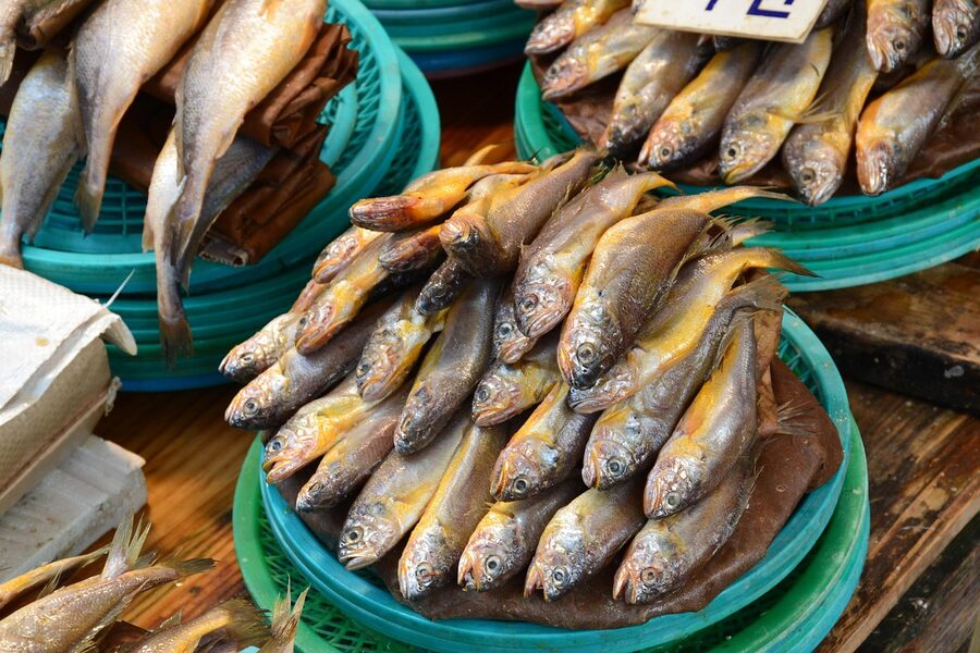 Dried fish at a Busan seafood market