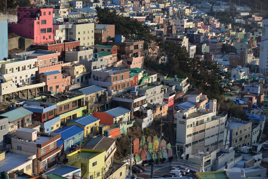 Gamcheon Culture Village houses climbing the hillside in Busan