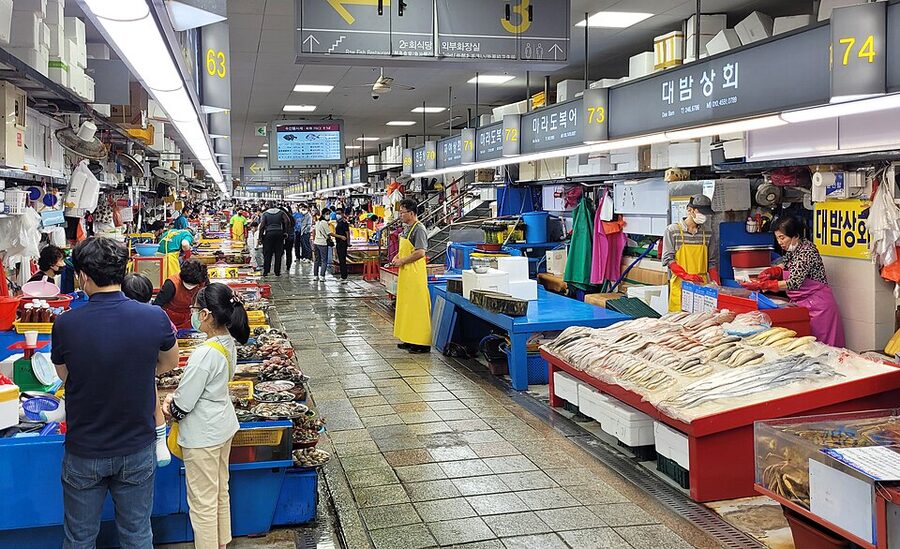 Jagalchi fish market Busan