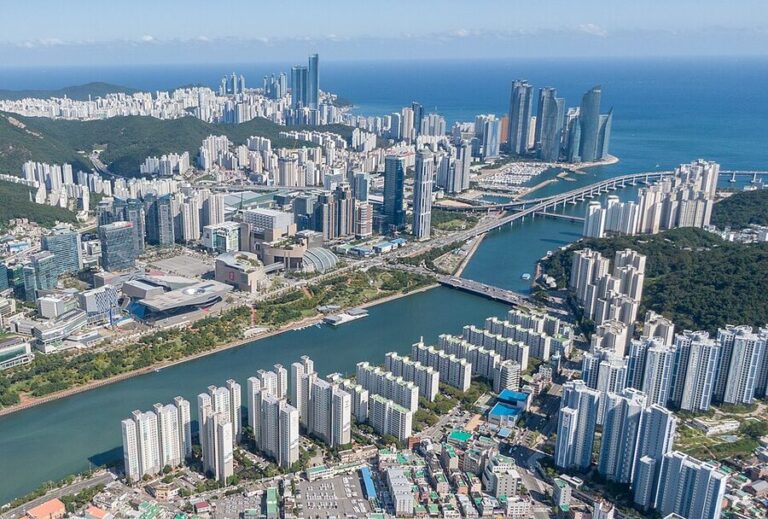 How to Book a Cooking Class in Busan