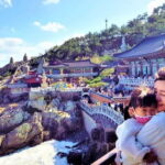 Busan Cruise Port - VIP Group Tour (Max 6 Guests) - What’s Included and What’s Not