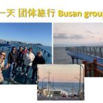 Busan Group Tour for Cruise ship passengers (Max 12 Guests) - Why This Tour Offers Excellent Value