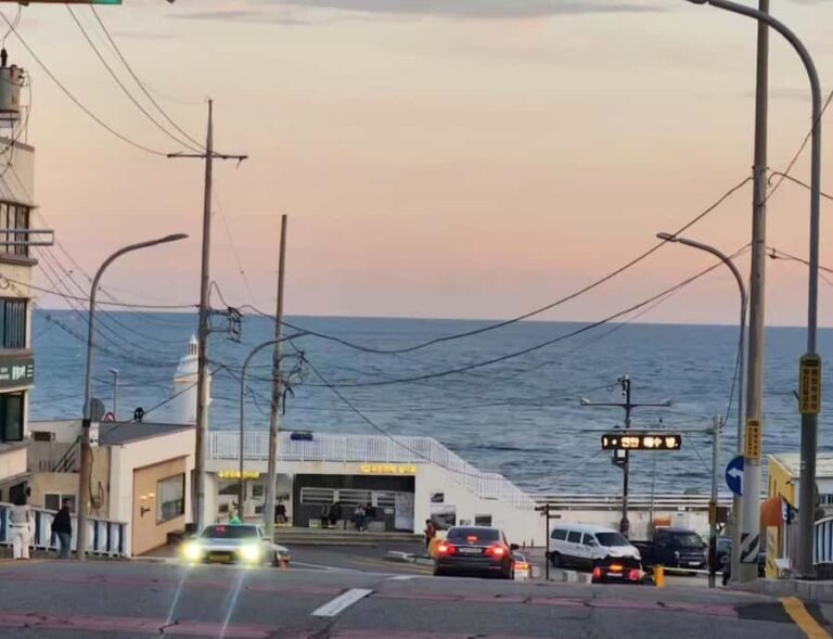 Busan: Gyeongju Shared Sunset Tour up to 15 guests - What makes this tour stand out?