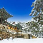 Busan: Gyeongju UNESCO Legacy Tour with National Museum - The Experience Review: What Do Travelers Say?