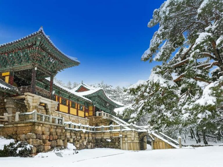 Busan: Gyeongju UNESCO Legacy Tour with National Museum - The Experience Review: What Do Travelers Say?