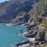 Busan Igidae Coastal Walk & Korean Pancake Experience - The Value of the Experience