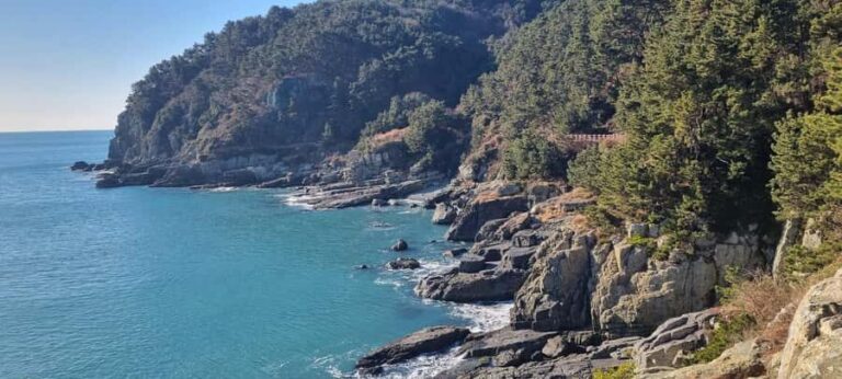 Busan Igidae Coastal Walk & Korean Pancake Experience - The Value of the Experience