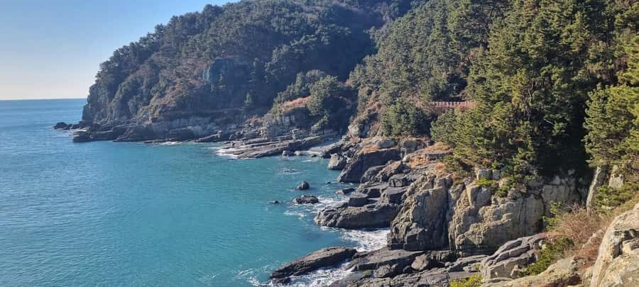 Busan Igidae Coastal Walk & Korean Pancake Experience - The Value of the Experience