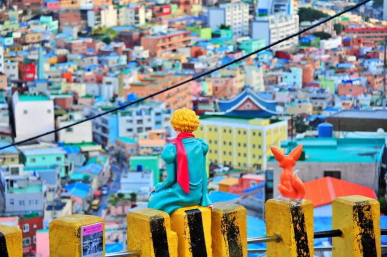 Busan: Max Out City Highlights Photo Spots Full Day Tour - Why This Tour Offers Great Value