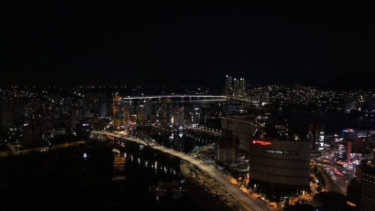 How to Book a Busan Night Tour