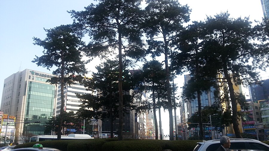 Seomyeon Rotary crossing by day in Busan