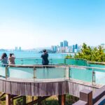 Busan: Spring Cherry Blossom & Gyeongju Highlights Day Tour - Transportation and Group Size