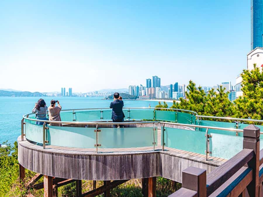 Busan: Spring Cherry Blossom & Gyeongju Highlights Day Tour - Transportation and Group Size