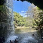 Byron Bay: Rainforest Waterfalls Guided Eco Tour - A Deep Dive into the Byron Bay Rainforest Waterfalls Eco Tour