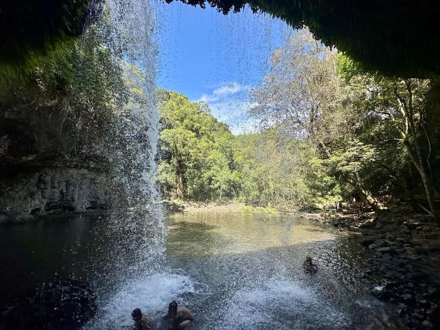Byron Bay: Rainforest Waterfalls Guided Eco Tour - A Deep Dive into the Byron Bay Rainforest Waterfalls Eco Tour