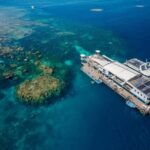 Cairns: 2-Day Barrier Reef Pontoon & Fitzroy Island Tour - Who Is This Tour Best For?