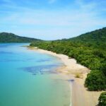 Cairns Daintree Rainforest and Cape Tribulation 2-Day Tour - Authentic Insights from Past Guests