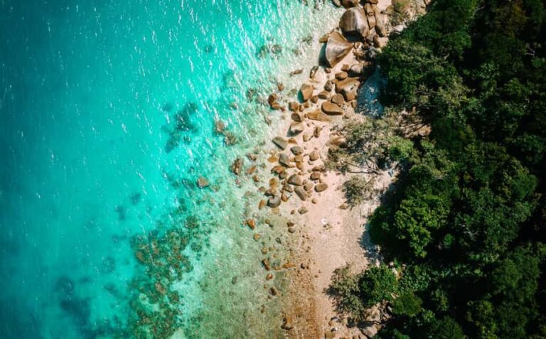 Cairns: Fitzroy Island Ferry with Optional Lunch & Activity - Exploring the Itinerary