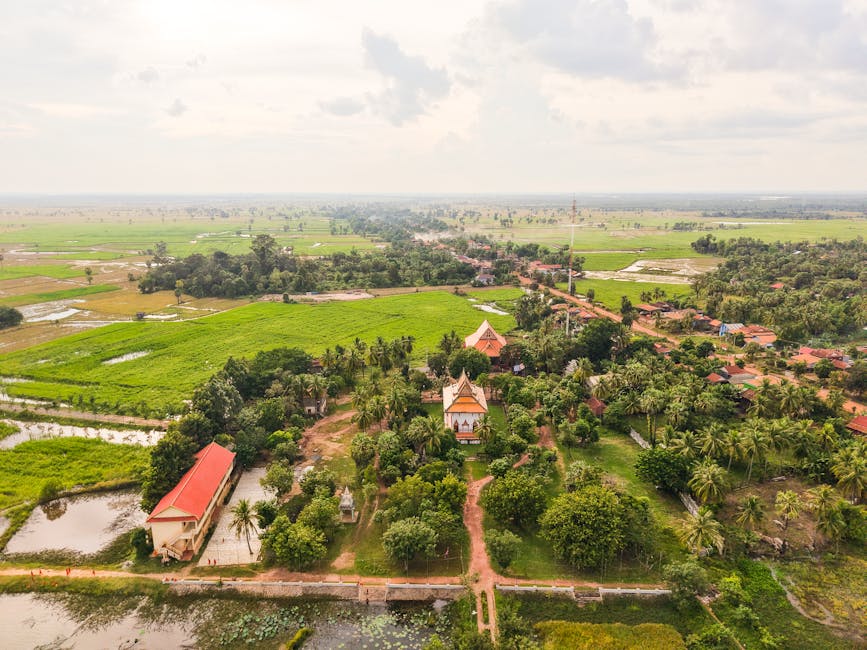 Aerial view of Cambodian countryside with temples and palm trees
