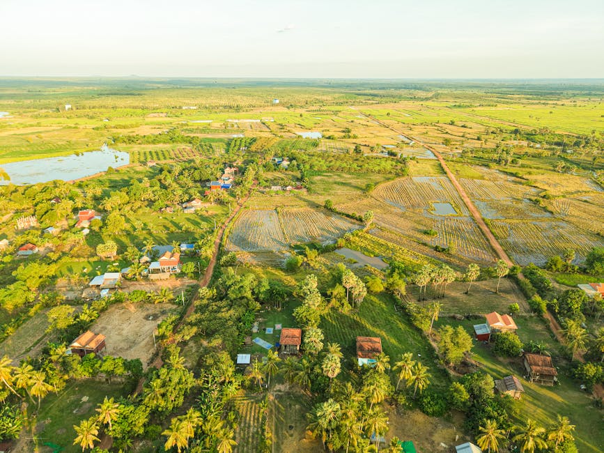 Cambodia rice fields aerial view