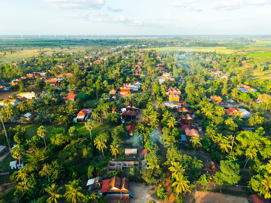 Aerial view of Cambodian village with scattered homes and palm trees
