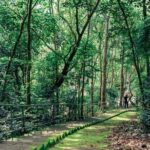 Can Gio Mangrove Forest, Thanh An Island, Vung Tau 2 Days Tour - Practicalities & Value