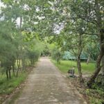 Can Gio Wildlife & Culture Experience  Scenic Boat Tour - What’s Included and What to Consider