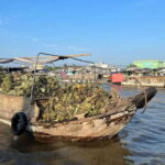 Can Tho: Cai Rang Floating Market and Canals - What We Love About This Tour