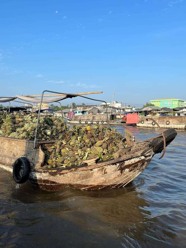Can Tho: Cai Rang Floating Market and Canals - What We Love About This Tour