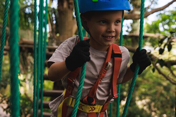 Canberra Junior Tree Ropes Course - The Natural Setting and Location